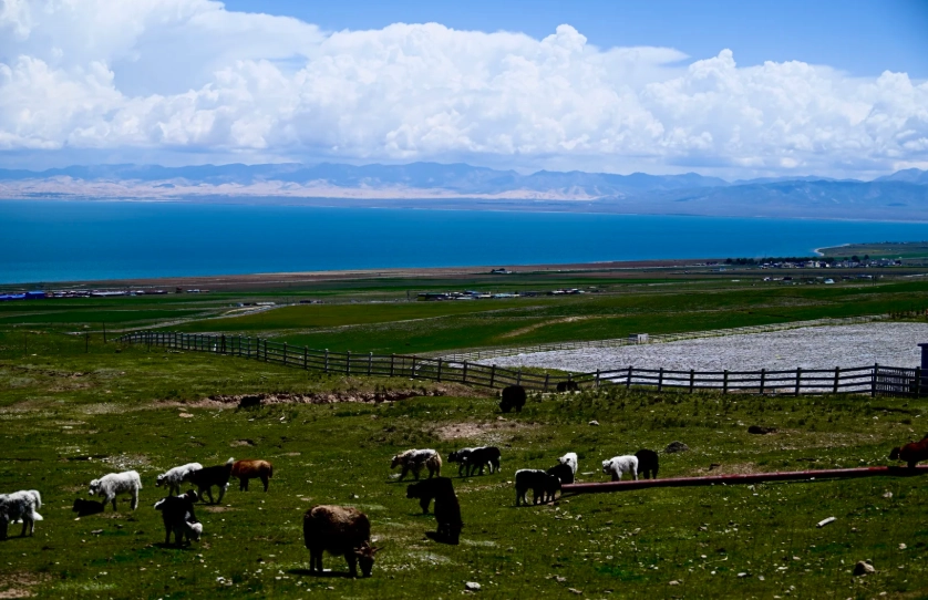 how to get to Qinghai Lake how to get to Qinghai Lake