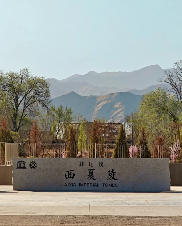 Yinchuan Travel Tips: Skip Crowds & Save Money