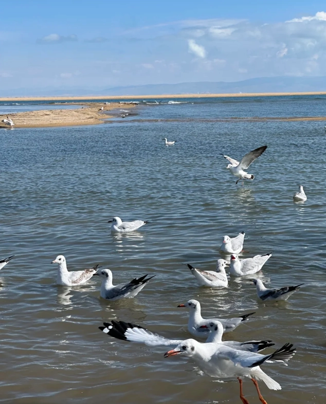 how to get to Qinghai Lake