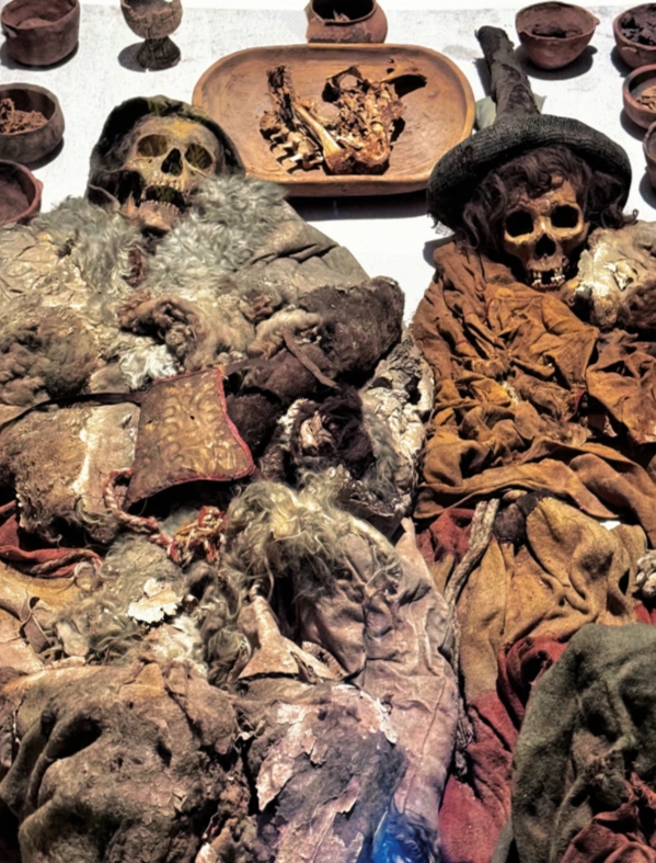 Photo of Xinjiang Regional Museum: Xinjiang Regional Museum tickets