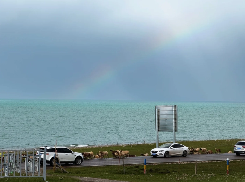 Qinghai Lake tips Qinghai Lake tips