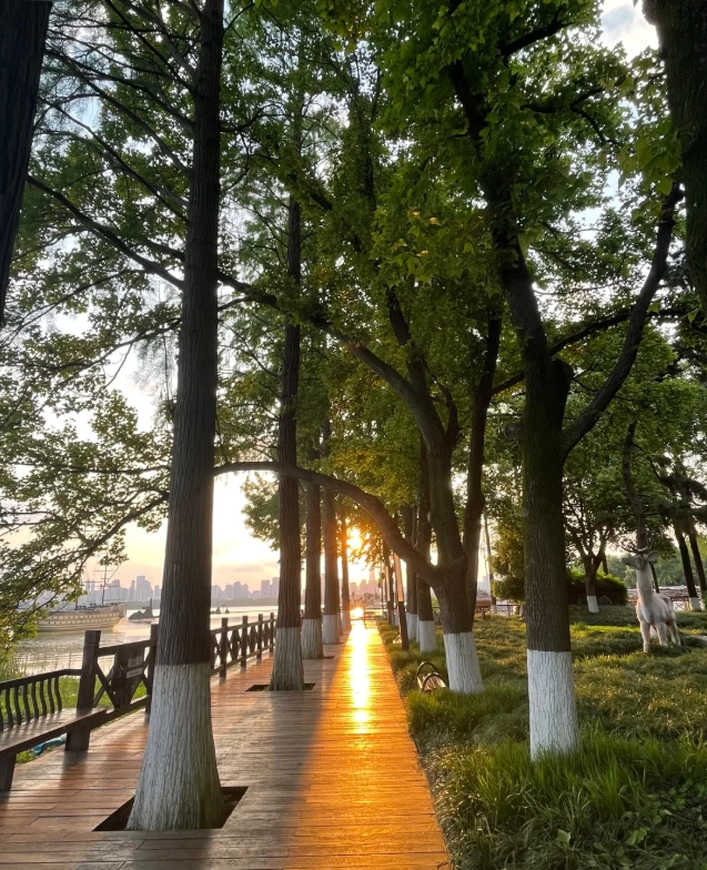 East Lake Scenic Area Guided Tour: 5 Insider Tips to Skip Lines & Save Money