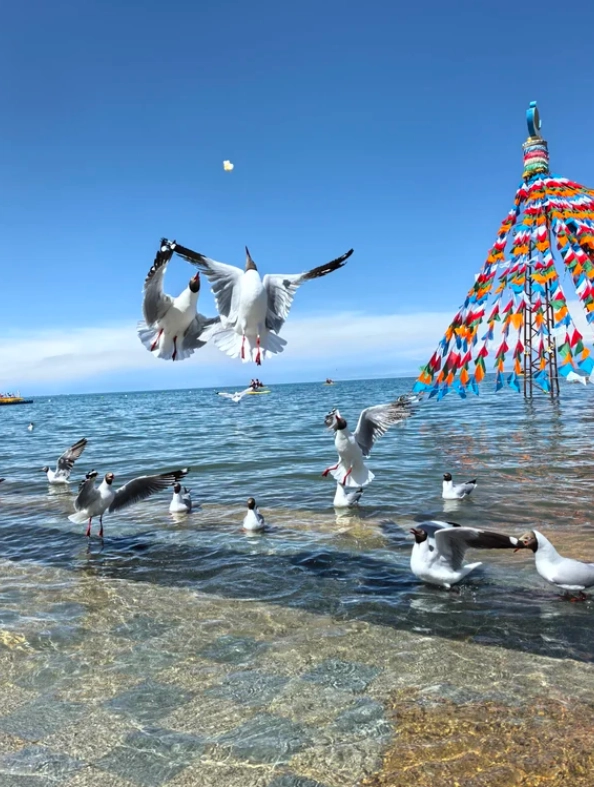 Xining Best Time to Visit: Beat the Crowds & Altitude