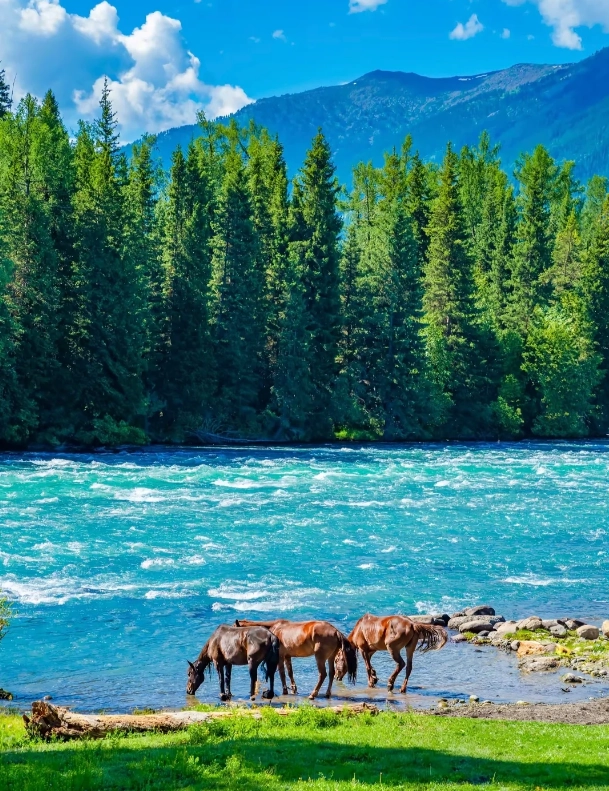 best time to visit urumqi best time to visit urumqi