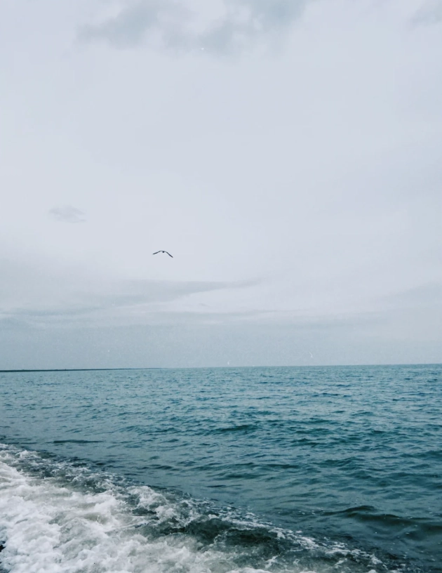 best time to visit Qinghai Lake