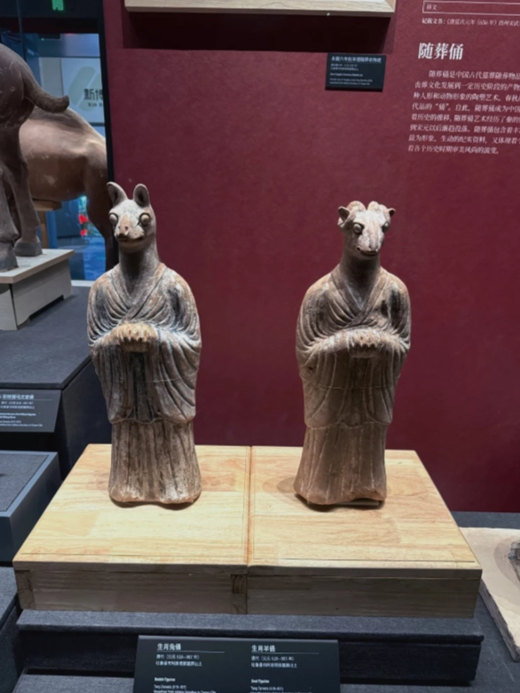 Photo of Xinjiang Regional Museum: Xinjiang Museum tips foreigners