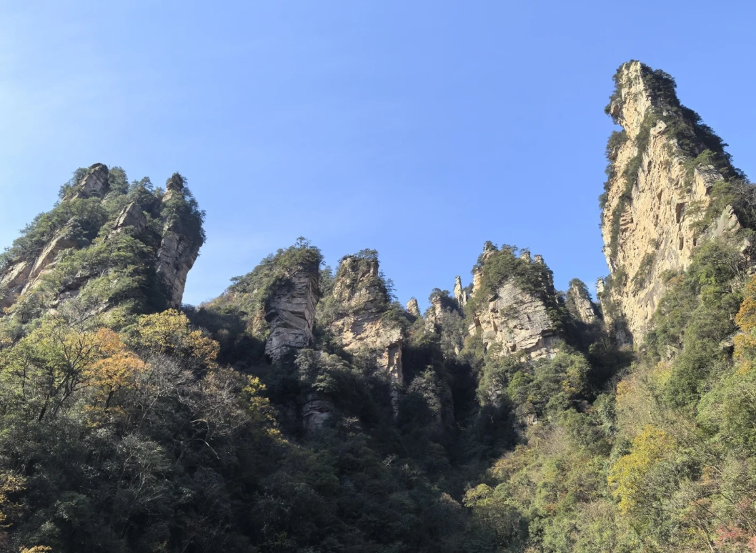 Zhangjiajie park ticket options Zhangjiajie park ticket options