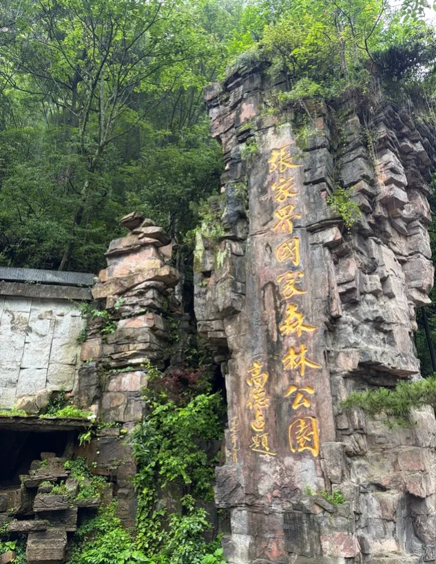 How to Get Around Zhangjiajie National Forest Park: Smart Routes & Tips