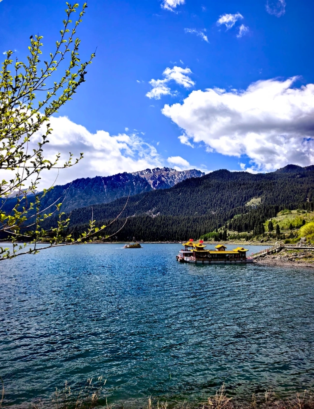 things to do in urumqi family