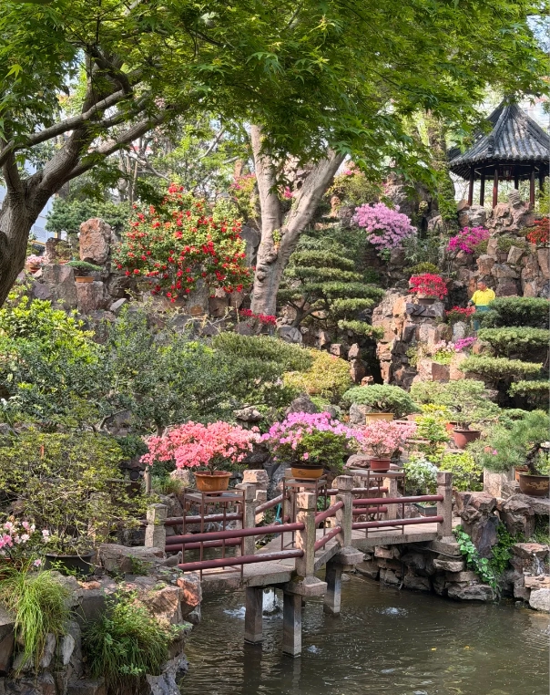 yu garden photography tips