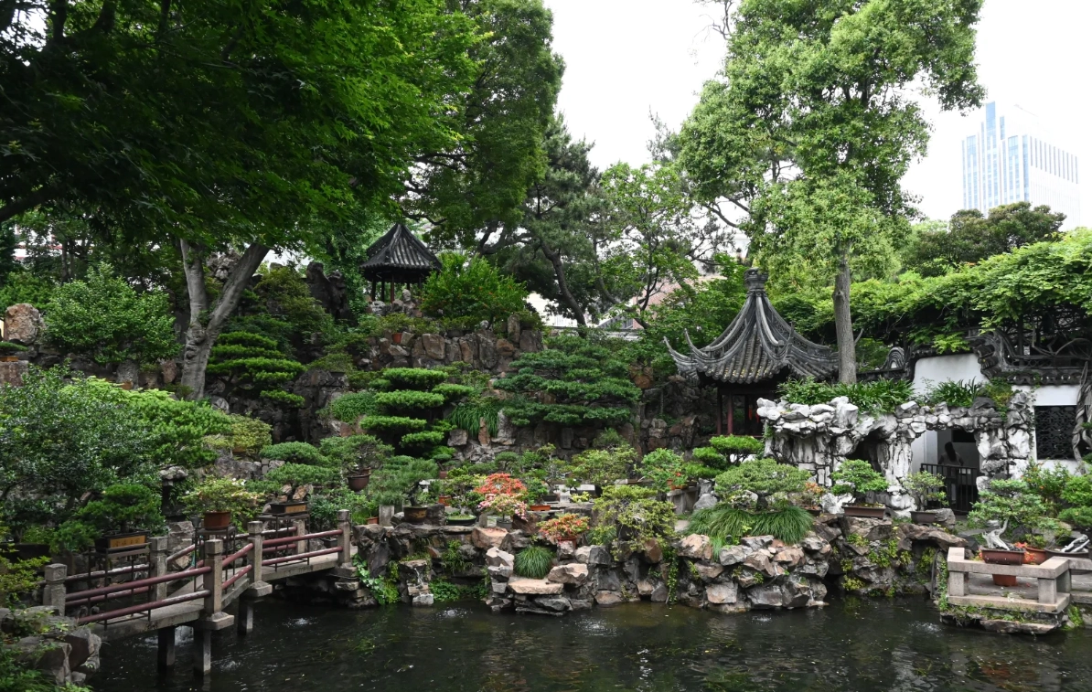 yu garden photography