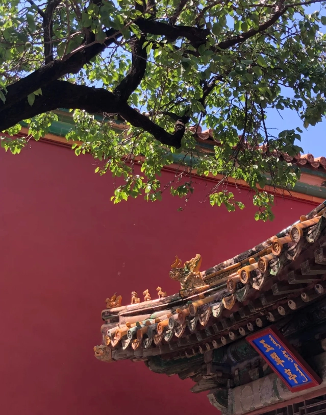 forbidden city photography guide forbidden city photography guide