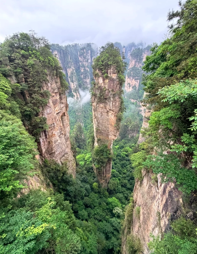 Zhangjiajie National Forest Park hours Zhangjiajie National Forest Park hours
