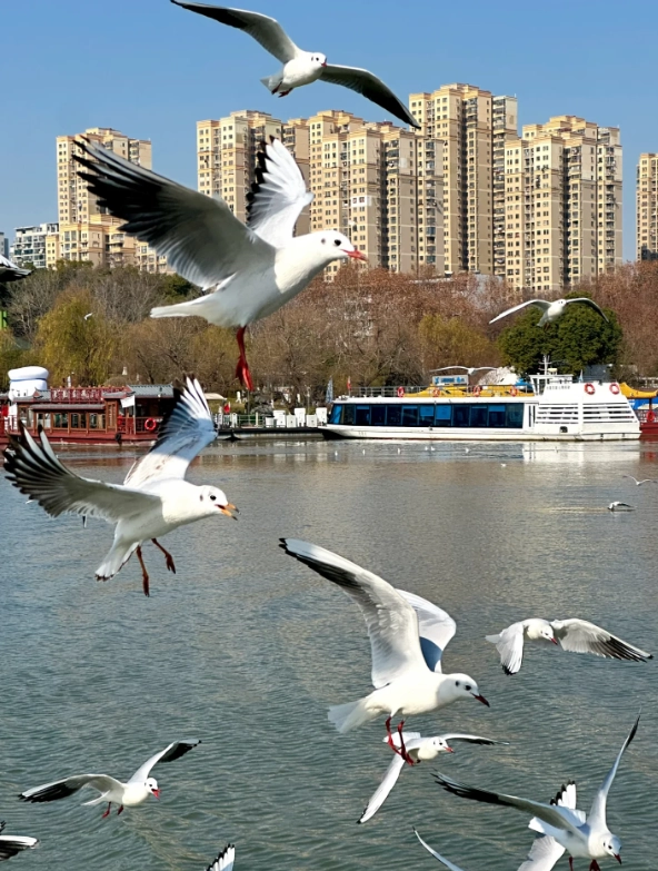 East Lake cruise tickets
