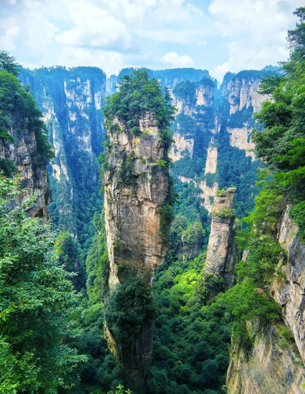 Zhangjiajie National Forest Park tickets
