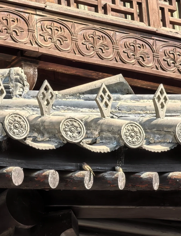 how to visit Yungang Grottoes