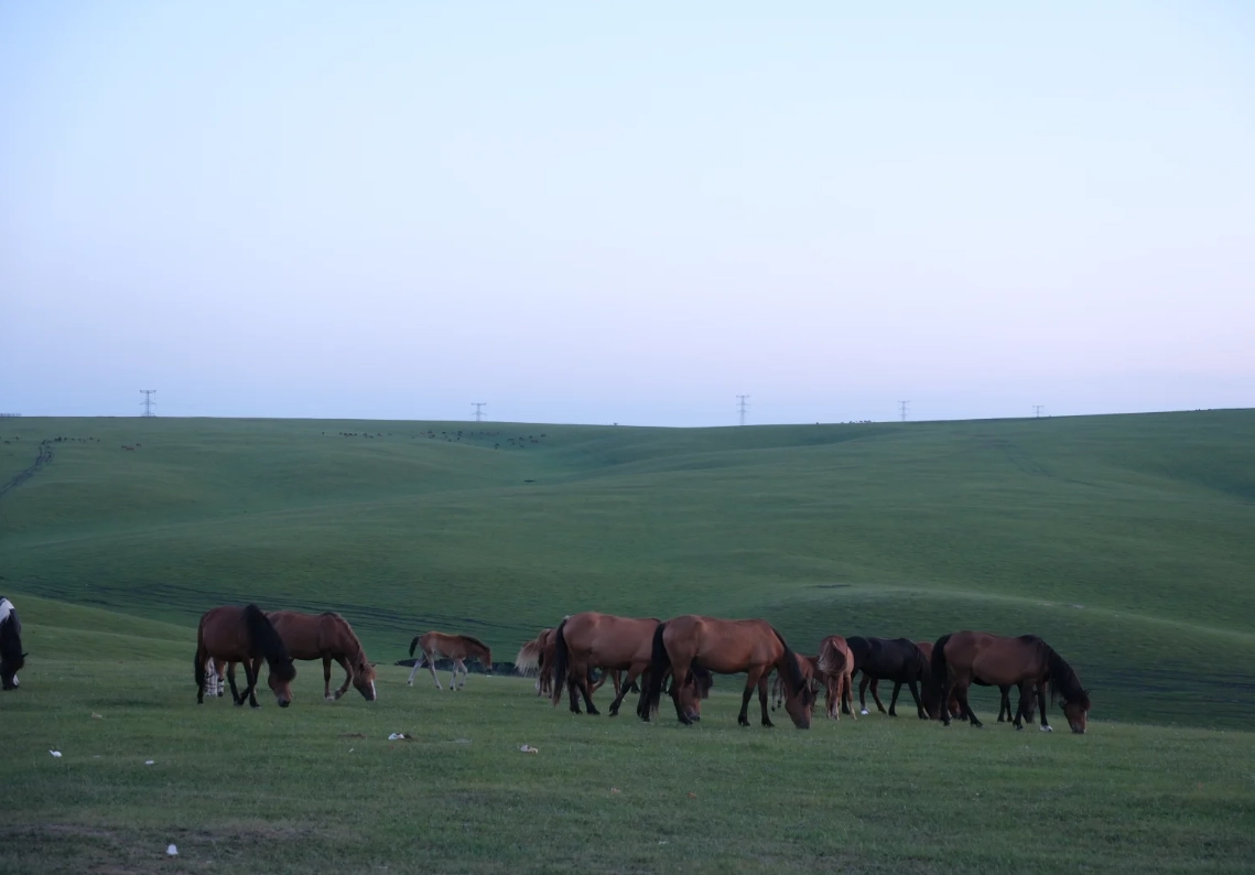 Photo of Hulunbuir Grassland: Hulunbuir grassland tour