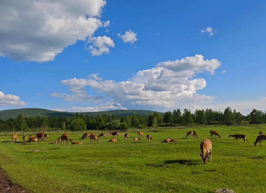 Travel photos of Hulunbuir: Hulunbuir travel guide