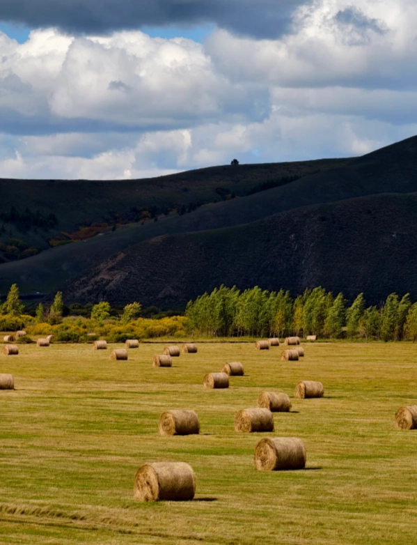 hulunbuir travel guide