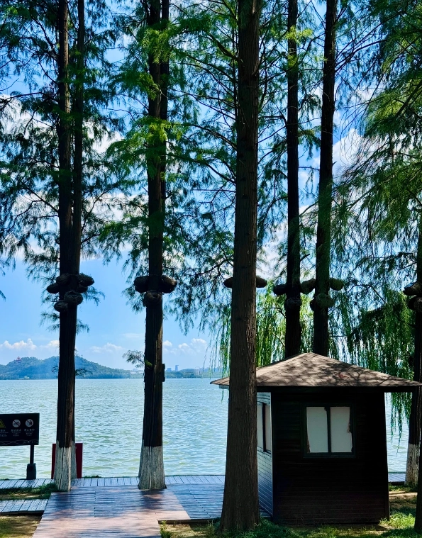 East Lake Wuhan travel tips