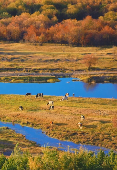 hulunbuir grassland season guide hulunbuir grassland season guide