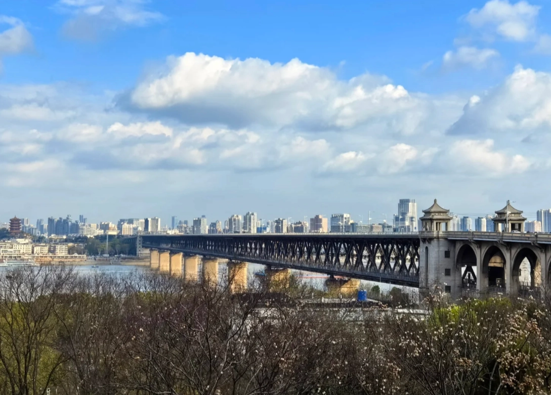 visit Wuhan bridge visit Wuhan bridge