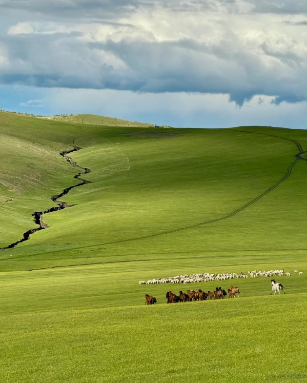 Hulunbuir Grassland English Guide: Beat the Crowds & Save Money