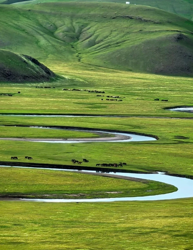 Hulunbuir self-drive route Hulunbuir self-drive route
