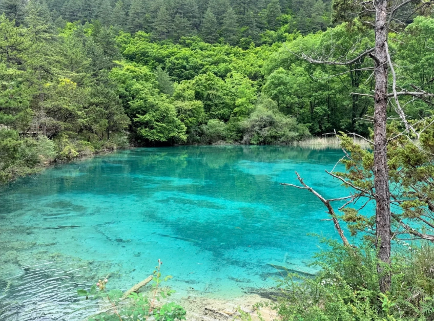 Jiuzhaigou park bus tickets Jiuzhaigou park bus tickets