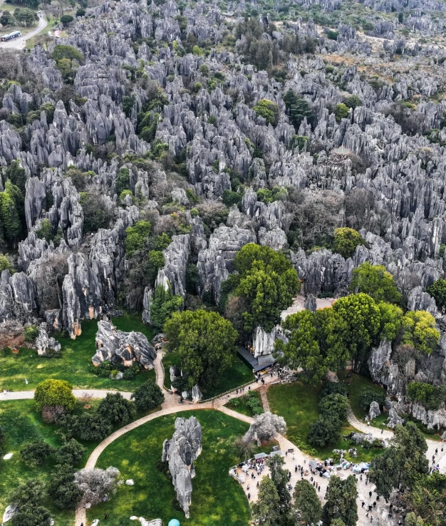 How Long to Spend at Stone Forest Scenic Area: 4, 6, or 8 Hours?
