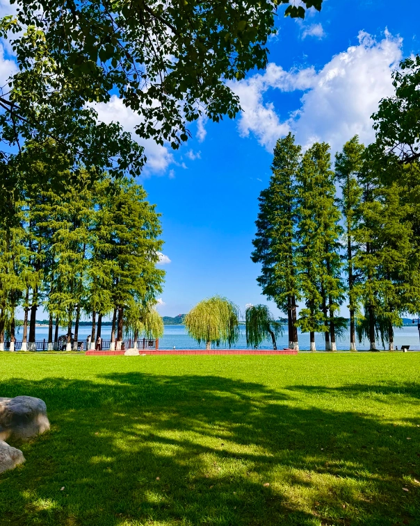 East Lake Scenic Area weather