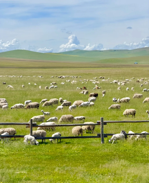 Photo of Hulunbuir Grassland: Hulunbuir trip planner
