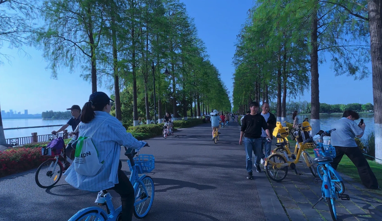 best bike path East Lake best bike path East Lake