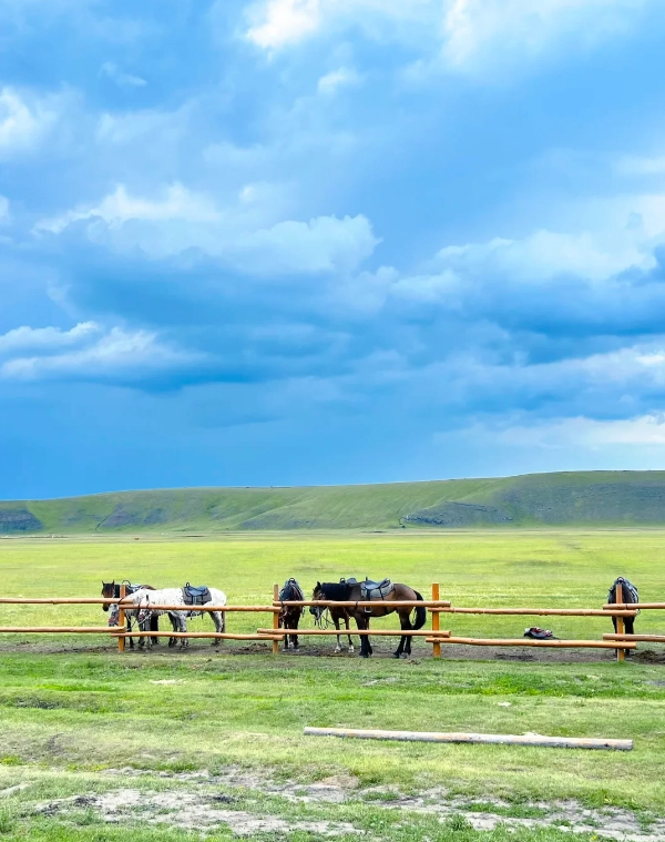 Hulunbuir Grassland travel tips Hulunbuir Grassland travel tips