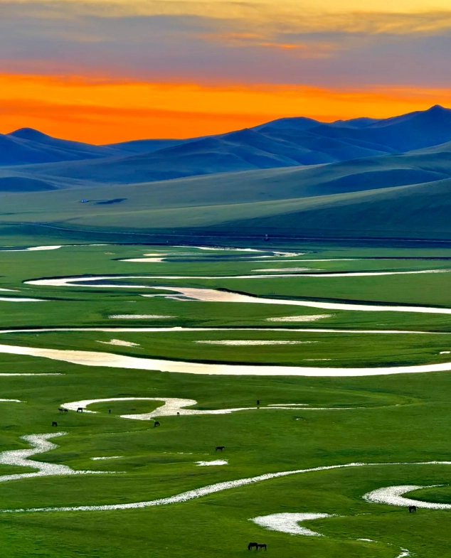 Hulunbuir Grassland