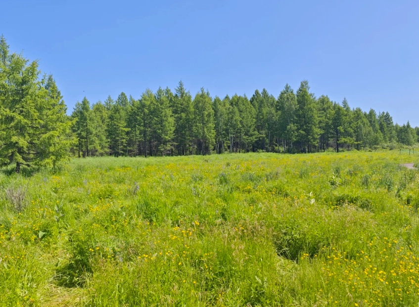 things to do in Hulunbuir