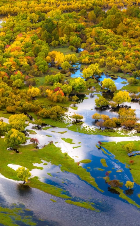 Travel photos of Hulunbuir: things to do in Hulunbuir