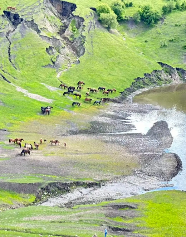 Hulunbuir travel guide