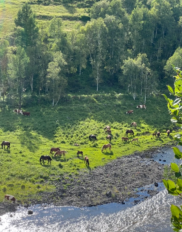 Inner Mongolia guided tours Inner Mongolia guided tours