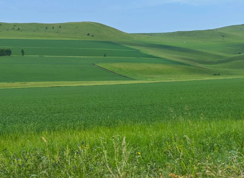 5 Days in Hulunbuir: Grasslands, Russians, and Real Freedom