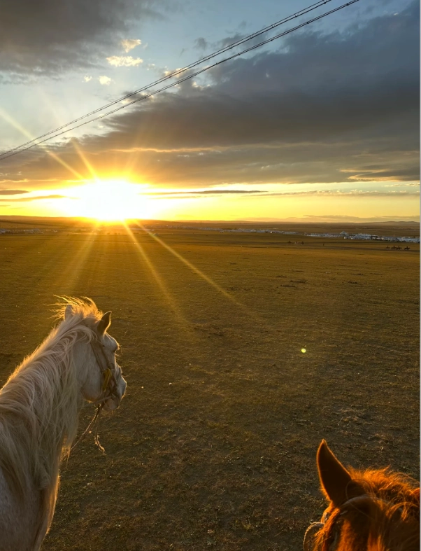 Hulunbuir grassland tour