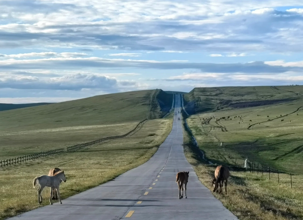 best time to visit Hulunbuir best time to visit Hulunbuir
