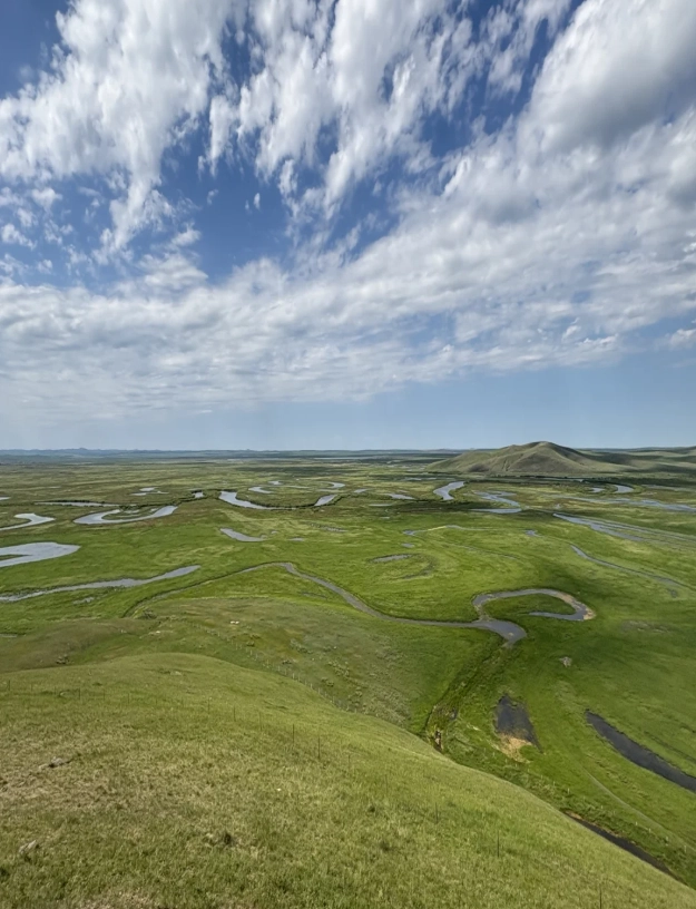 Inner Mongolia grassland photography