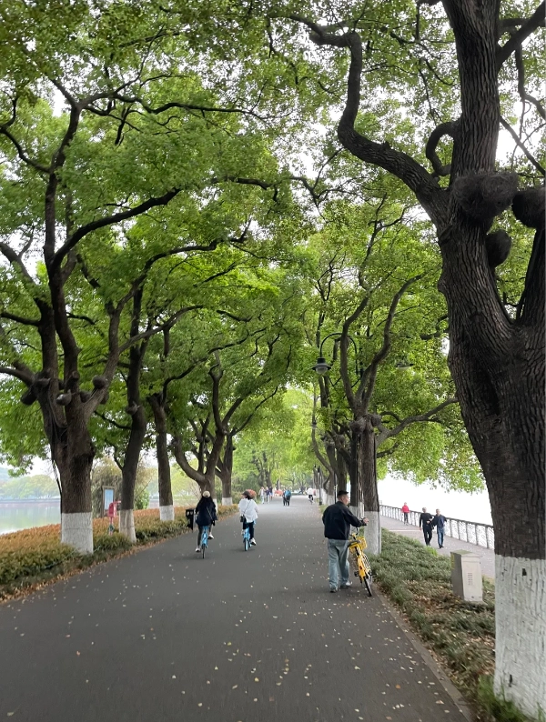 Wuhan cycling route lakeside Wuhan cycling route lakeside