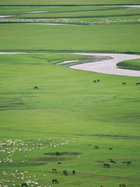 hulunbuir grassland travel tips hulunbuir grassland travel tips