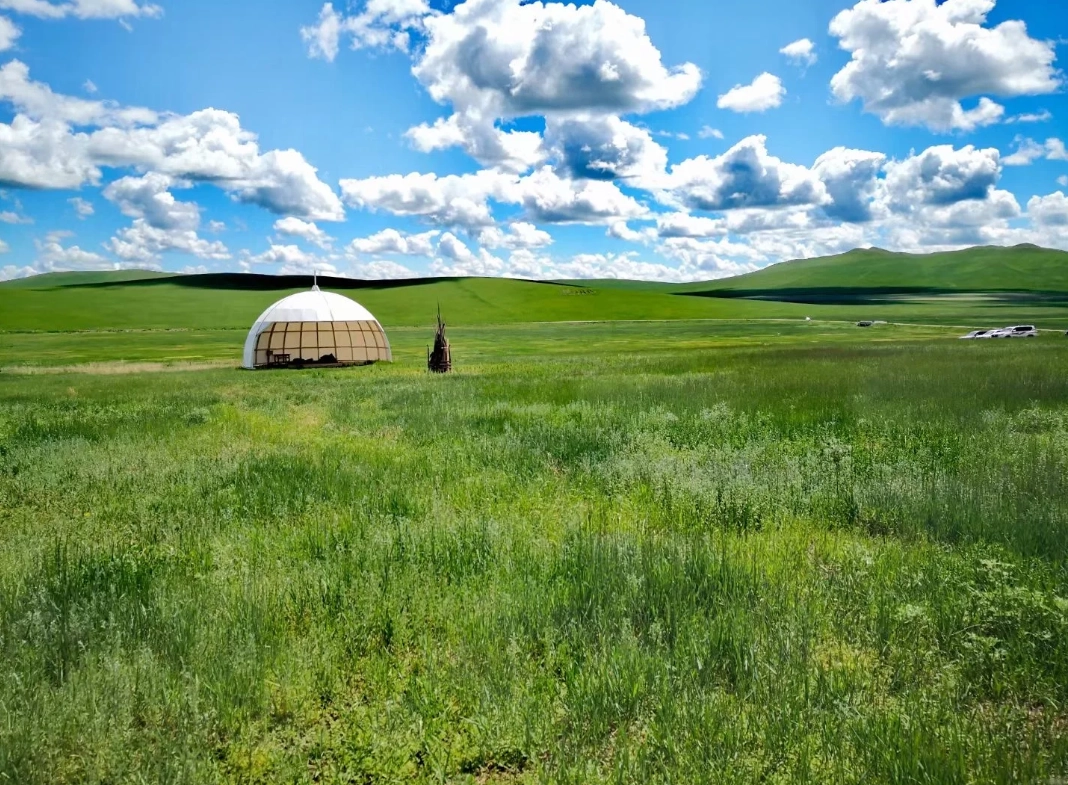 hulunbuir grassland reviews