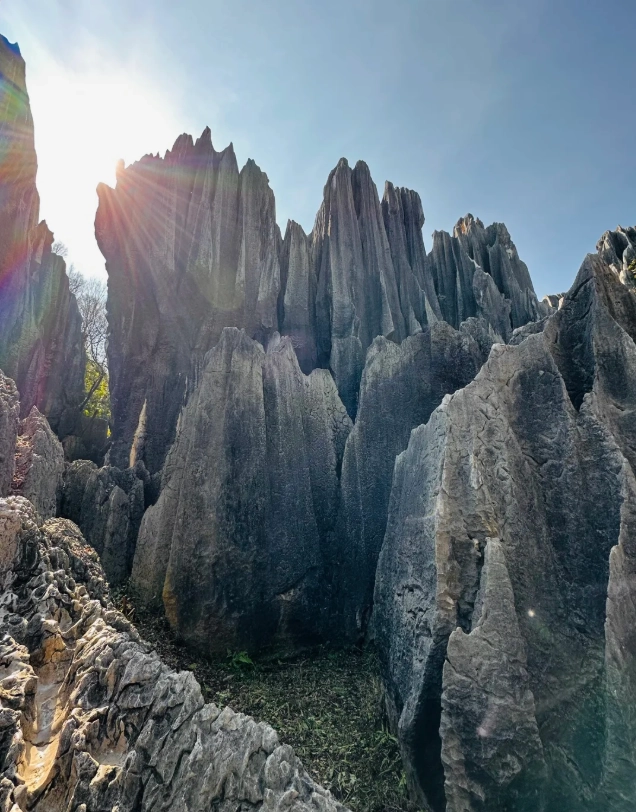 How to Get to Stone Forest from Kunming: Avoid These 3 Tourist Traps
