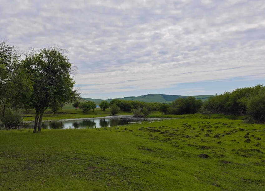 Hulunbuir grassland trip