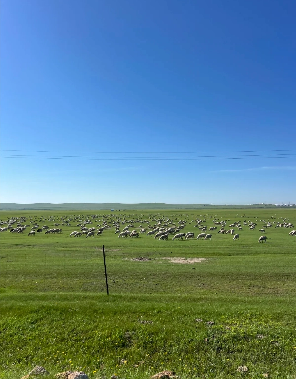 Hulunbuir itinerary Hulunbuir itinerary