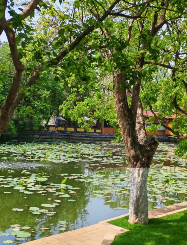 Kunming attractions guide Kunming attractions guide